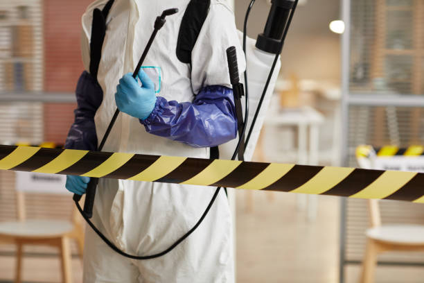 Professional Sewage Cleanup technician working in Mantua, VA